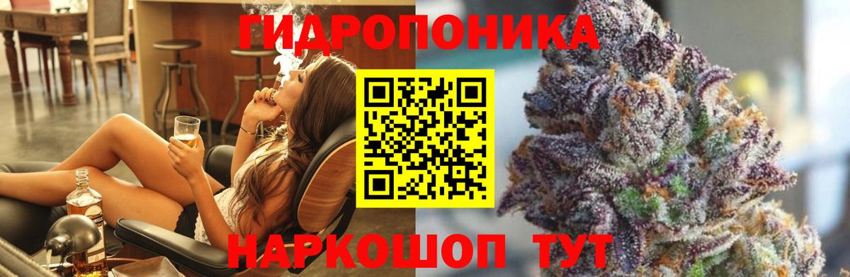 Северобайкальск  Бошки марихуана планчик  Вход с VPN  Канабис сатива 